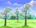 Blooming fruit trees in the garden illustration