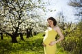 Blooming garden, Beautiful pregnant woman Royalty Free Stock Photo