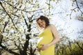 Blooming garden, Beautiful pregnant woman Royalty Free Stock Photo