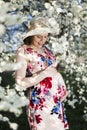 Blooming garden, Beautiful pregnant woman Royalty Free Stock Photo