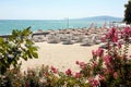 Blooming garden and panoramic view on the beach with sun loungers and parasols, sea, sky and mountains, beautiful sunny