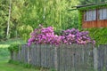 Blooming gardens at an old country house, southern Bohemia