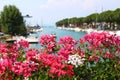 Blooming geranium flowers, harbor with sailboats in Peschiera del Garda. Modern blurred background, turquoise water