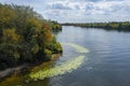 Blooming green algae on the river. Water pollution of rivers and lakes by harmful algal blooms