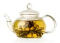 Blooming green tea in glass teapot