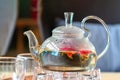 Blooming green tea in glass teapot on a wooden table in a bar or coffee shop Royalty Free Stock Photo