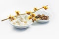 Blooming hamamelis branch witch hazel, skin care cream and dried bark and leaves, natural cosmetics of the medicial plant, light