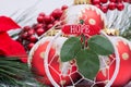 Blooming Holiday Red Poinsettia, Pine and Berry bush and ornament decoration in the form of Christmas tree balls, green leaf Royalty Free Stock Photo