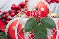 Blooming Holiday Red Poinsettia, Pine and Berry bush and ornament decoration in the form of Christmas tree balls, green leaf Royalty Free Stock Photo