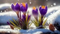 Blooming incomparable crocuses. Generated Ai