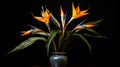 Blooming indoor exotic plant Strelitzia in flower pot in a lighted room. AI generated.