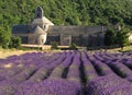 Blooming Lavender Field In Front Of The Ancient Abbey Abbaye De Senanque In The High Plain Vaucluse Near Valensole France Royalty Free Stock Photo