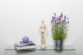 Blooming lavender flowers in zinc bucket pot, wooden manikin, pile of books and violet candle on glass shelf against light wall Royalty Free Stock Photo