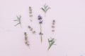 Blooming lavender and thyme herbs on pink table. Healthy herbal flowers and leaves pattern composition. Decorative