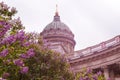 Blooming ,  lilac on the background of the dome of the cathedral ,St. Petersburg, Kazan Cathedral Royalty Free Stock Photo