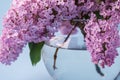 Blooming lilac bouquet in sphere transparent vase on blue background Royalty Free Stock Photo