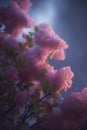 blooming lilac bush at night