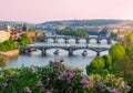 Blooming lilac in Letenske garden with Prague evening cityscape and bridges over Vltava river at background, Czech Republic Royalty Free Stock Photo