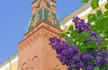 Blooming lilac near the tower of the Moscow Kremlin. A branch of blossoming lilacs in the city garden
