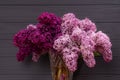 Blooming lilac flowers in the vase on grey wall background Royalty Free Stock Photo