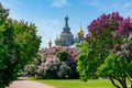 Blooming lilacs on field of Mars with Church of Savior on Spilled Blood at background, Saint Petersburg, Russia Royalty Free Stock Photo