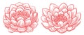 Blooming lotus. Design element for wedding invitation, cover, print, decoration, template. Sketch vector illustration