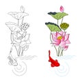 Blooming lotus and fish, coloring