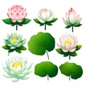 Blooming Lotus Flowers in a Tranquil Garden Pond Spiritual Beauty of Nature\'s Harmony, Generative Ai