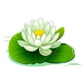 Blooming Lotus Flowers in a Tranquil Garden Pond Spiritual Beauty of Nature\'s Harmony, Generative Ai