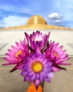 Blooming lotus flowers worship Dhammakaya cetiya