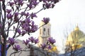 Blooming Magnolia on the background of an Orthodox Church