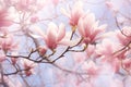 Blooming Magnolia Tree Valentine Day background