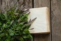 Blooming mint and blank page in an open book on an old table Royalty Free Stock Photo