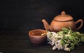 blooming mint grass with a cup of tea and a teapot on a dark wooden table with a copy of the spacespace Royalty Free Stock Photo