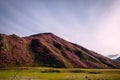 Blooming mountain slopes on background of blue sky with light white clouds in the beautiful sunlight. Rhododendron rose bushes Royalty Free Stock Photo