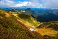 Blooming mountains scenery, stunning summer dawn landscape, amazing blooming pink rhododendron flowers, amazing panoramic nature s Royalty Free Stock Photo