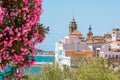 Blooming Oleander against the background of the historical center in the Sitges, Barcelona, Catalunya, Spain. Copy space for text. Royalty Free Stock Photo