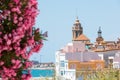 Blooming Oleander against the background of the historical center in the Sitges, Barcelona, Catalunya, Spain. Copy space for text. Royalty Free Stock Photo