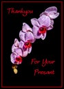 Blooming Orchid greetings card