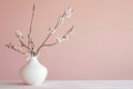 Blooming peach branches in a white vase against a pastel pink wall. Royalty Free Stock Photo