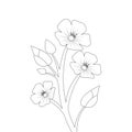 blooming petal of flower branch coloring book page element for kids drawing