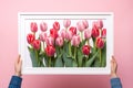 Frame flower pink spring