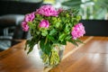 Peonies in vase, pink peony flowers blooming in glass vase in modern room.
