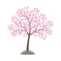 Blooming pink flowers spring tree. Vector image