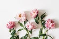 Blooming pink peonies flowers with green leaves isolated on white table background. Floral frame, banner. Flat lay, top Royalty Free Stock Photo