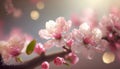 Blooming pink spring blossoms detail on cherry tree branch wallpaper