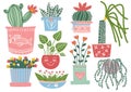 Blooming Plants in Pots Set, Indoor Potted Houseplants Vector Illustration