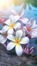 Blooming plumeria flowers with drops of water close-up background. Floral wallpaper. Ai generated