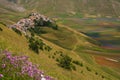 Blooming of poppies and cornflowers in the fields of lentils from Castelluccio di Norcia Royalty Free Stock Photo