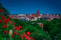 Blooming poppies with the Gdansk city view at dusk. Poland